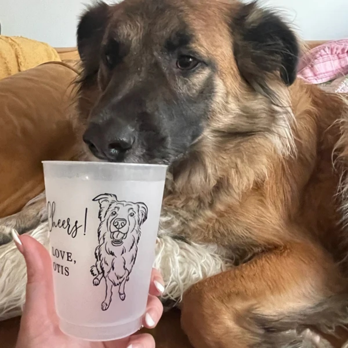10/50 Custom Dog Cat Pet Portr - đánh giá và giá Plastic Cup 50Pcs
